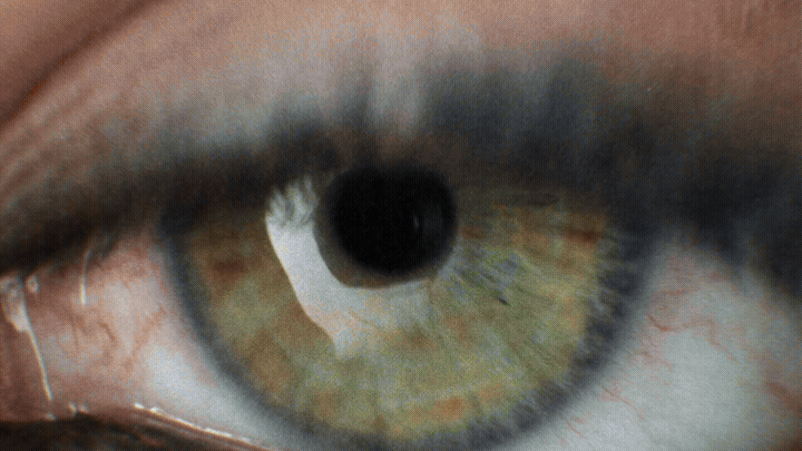 Sensorial reference